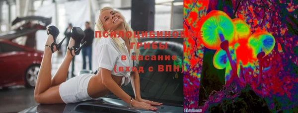 мяу мяу мука Алзамай
